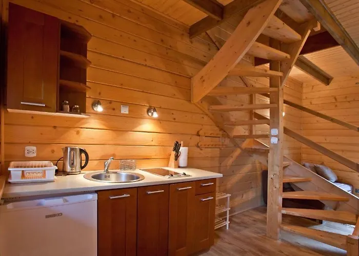 Z Kominkiem W Krynicy Domek alpejski